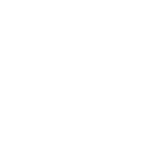 rental car excess insurance fully reimbursed