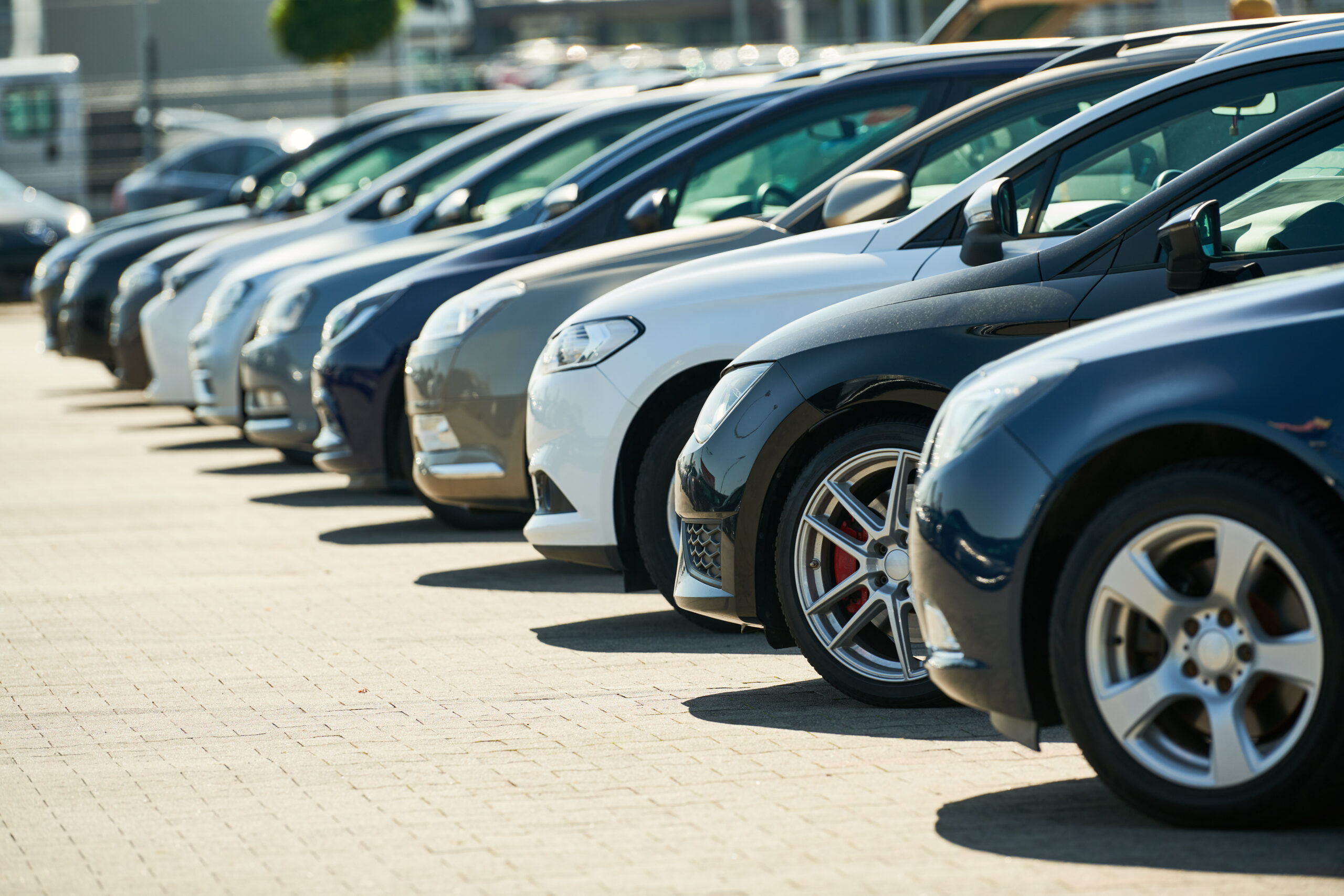 A row of parked cars in various colors from gray to blue line a sunlit parking lot